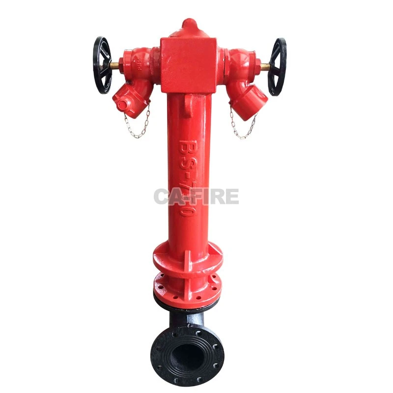 BS750 (2)