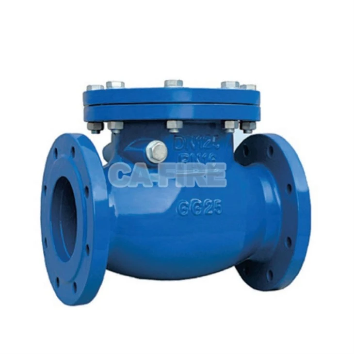 Flange Swing Check Valve