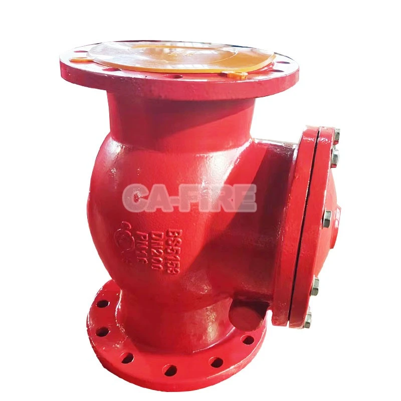 Swing check valve 1 Swing check valve 1